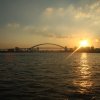 SH_D3_2a (227)